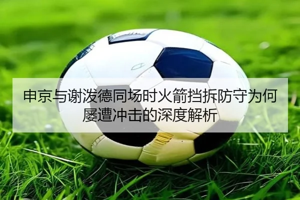 申京与谢泼德同场时火箭挡拆防守为何屡遭冲击的深度解析